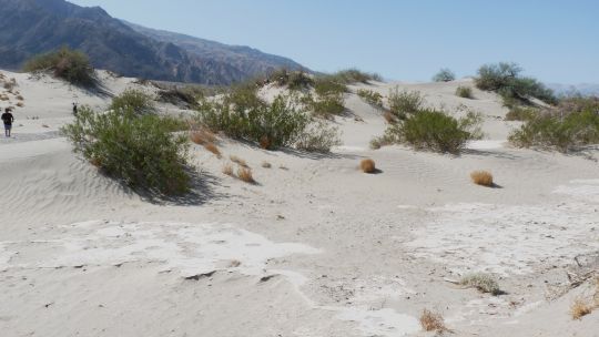 04-17 Dans les dunes de sable tres fin